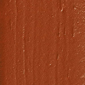 Lightweight Lip Powder שפתון פודרה MATURE 011