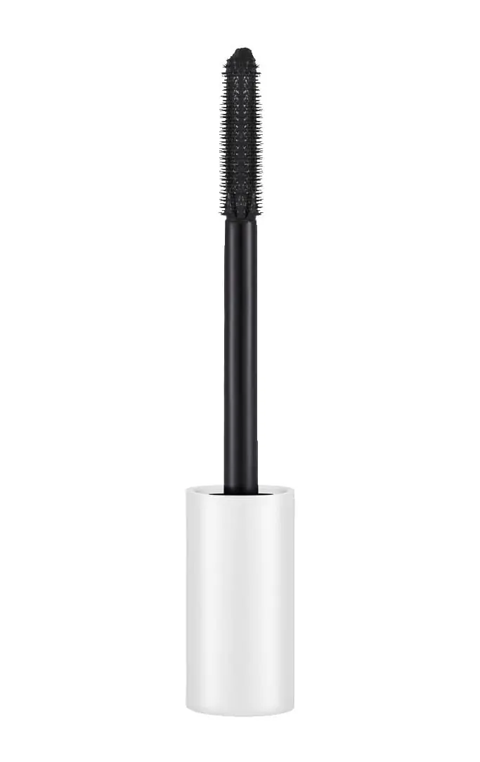 Tinted Primer Mascara פריימר מסקרה עם גוון